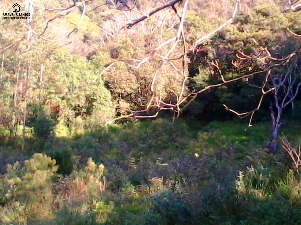 Sítio em , São Roque - Foto 12